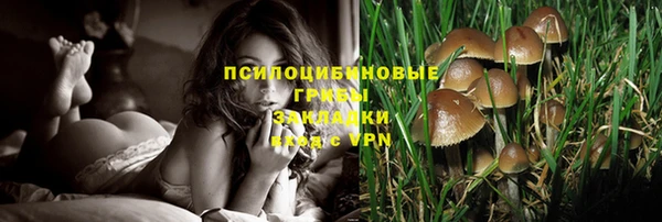 скорость Зеленокумск