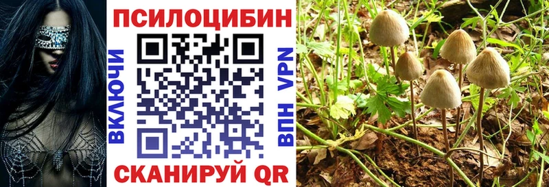 Купить  Малая Вишера  Галлюциногенные грибы мухоморы 